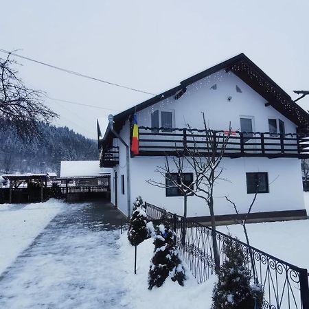 Villa Casa Roxana Viseu de Mijloc Exterior foto