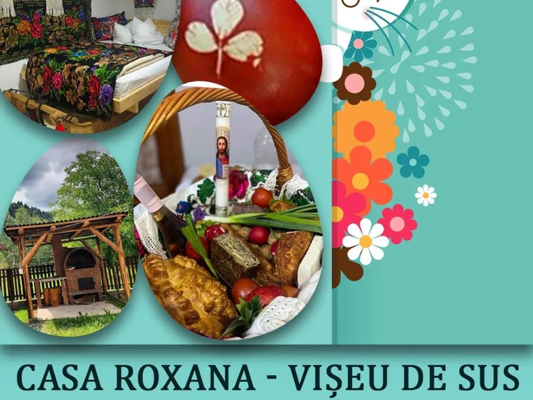 Villa Casa Roxana Viseu de Mijloc Exterior foto