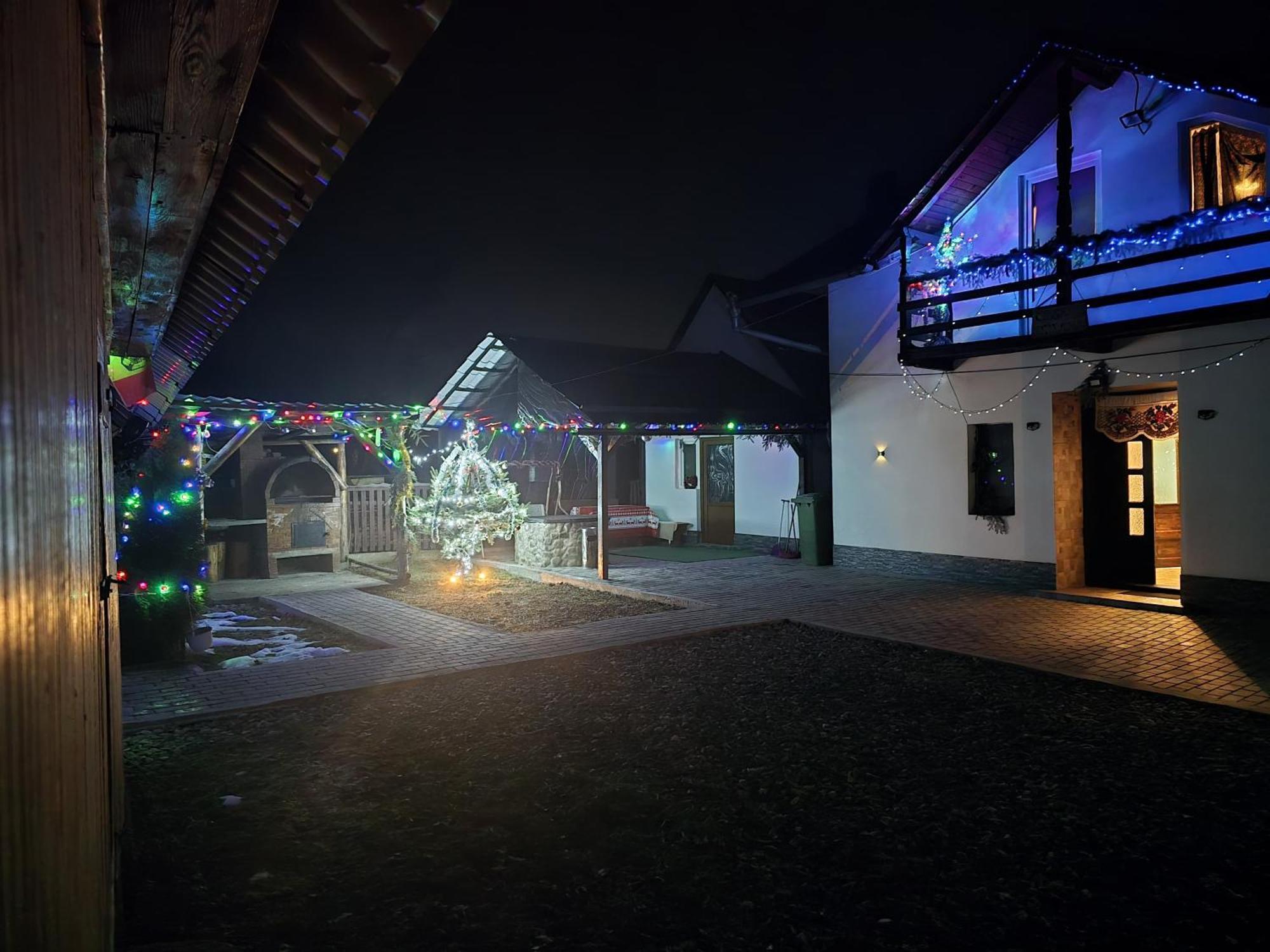 Villa Casa Roxana Viseu de Mijloc Exterior foto